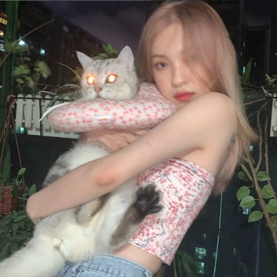 包子漫畫(huà)免費(fèi)下載