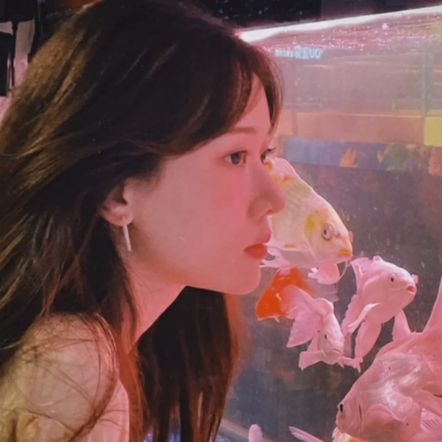 192.168.0.1登錄入口路由器