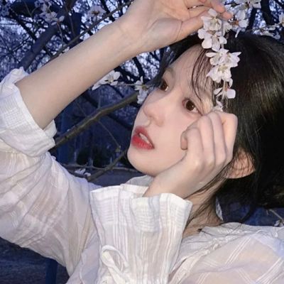 戰(zhàn)國(guó)千年漫畫免費(fèi)觀看下拉式漫畫