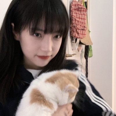 雨燕無(wú)插件直播體育nba