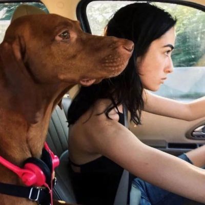 他達拉非最佳服用時間多少