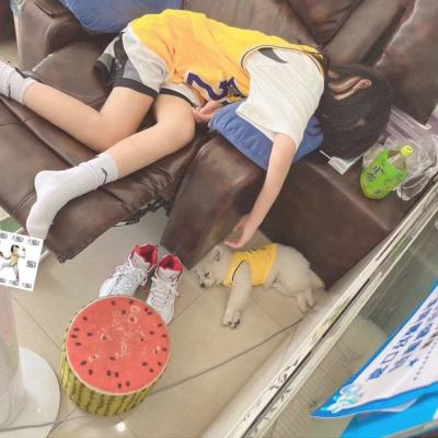 舊版土豪漫畫登錄頁