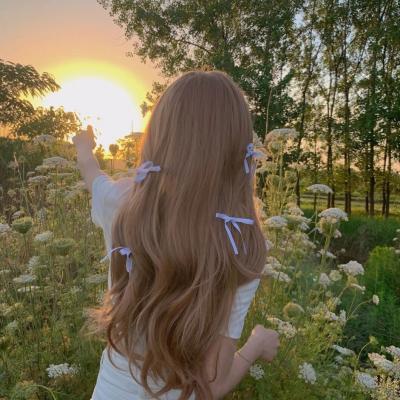 1—42全集免費(fèi)