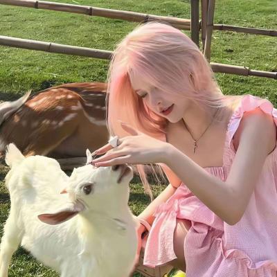 《女家教》完整版免費觀看