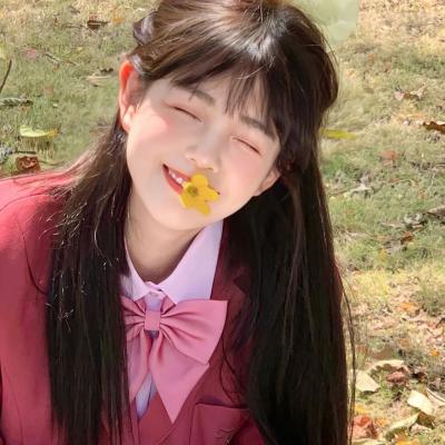 抖硬挺哥人參片作用和功效