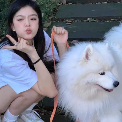 picacg嗶咔官網(wǎng)(入口)下載