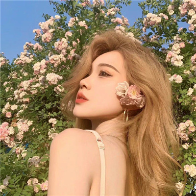 《以愛為營》全集觀看國語版