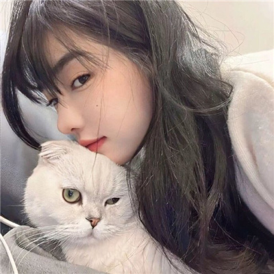 赤子板栗老師最火的三首歌