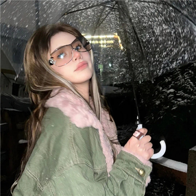 《日本戰(zhàn)狼10》免費播放