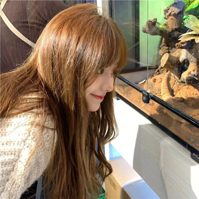 十八禁網站視頻app破解版