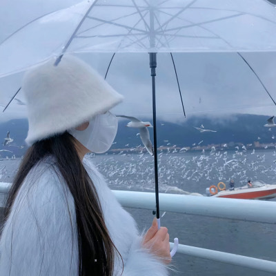 正常人的龜?shù)念^上圖片