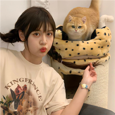 年經(jīng)母年經(jīng)4