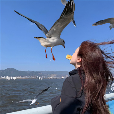 白日夢我有聲漫畫在線觀看