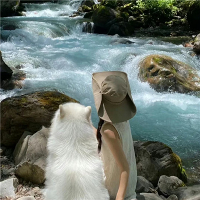 文化中國(guó)行｜從素炒豆腐到三蘇文脈 千年家訓(xùn)解碼家國(guó)情懷