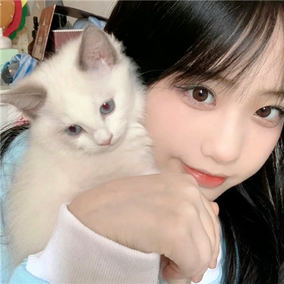 扒開雙腿猛進入jk?；赓M網站下載