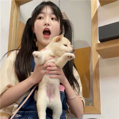 漫畫網(wǎng)站入口小黃