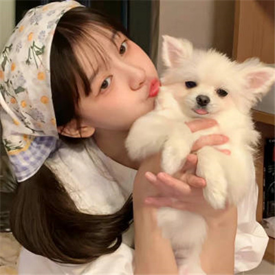 菠蘿在線觀看免費觀看電視劇