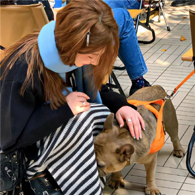 《妥協(xié)的太太》