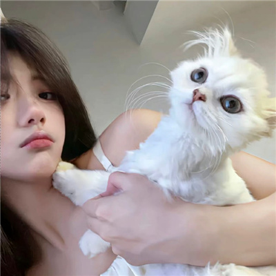 三年在線觀看高清大全