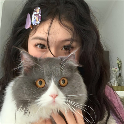 繼承雜貨鋪漫畫百度云