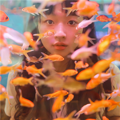 刑警的生活電視劇免費(fèi)觀看