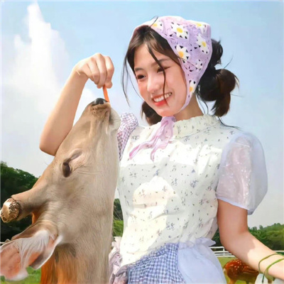 上門女婿三姐妹通吃的小說