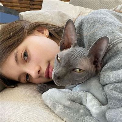 192.168.100.1隨身wifi登錄設(shè)置