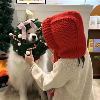 在線觀看已滿十八歲電視劇動(dòng)漫版