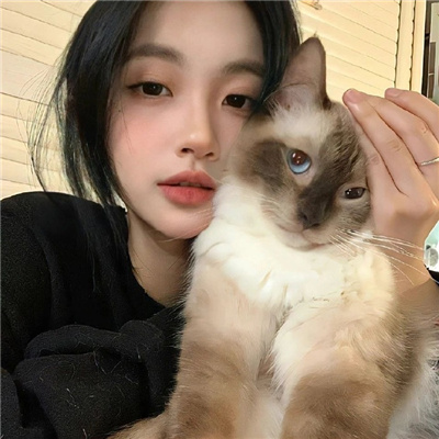 2023國產(chǎn)拍視頻最好的手機(jī)