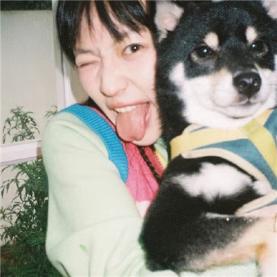 在線觀看免費(fèi)高清視頻大全追劇app