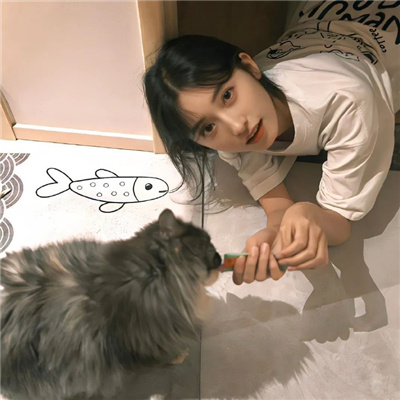 理想汽車7座報(bào)價(jià)及圖片