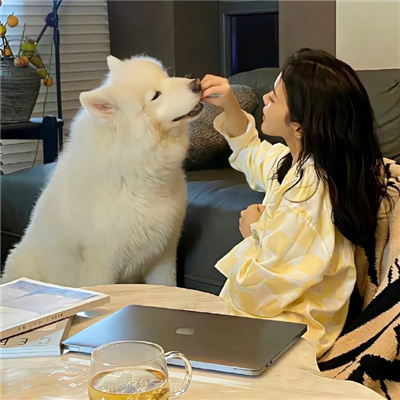 新新漫畫改名叫什么了